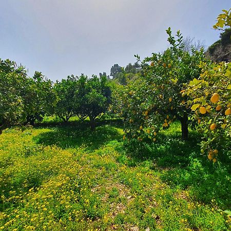 Villa Tommaso Maruggi, Sicilia, Con Jacuzzi E Piscina Privata Alcamo Exterior photo